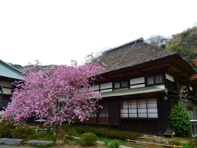 海蔵寺